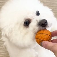 「返してくれたの？よかった～」