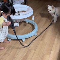 「お散歩に行こう！！」