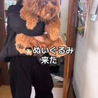 まだ腹巻きには気づいていません