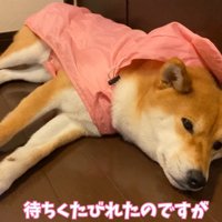 30分後、まだ待機しています！