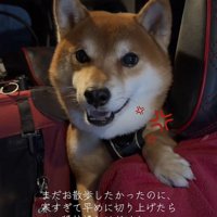 はなまる君の猛抗議4