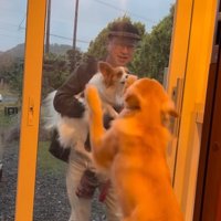 ざらめちゃんとパパの再会4