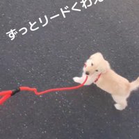 可愛すぎる♡