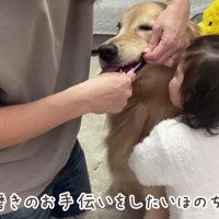 1歳の女の子が近づいて…