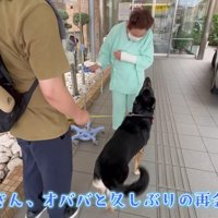 大喜びで駆け寄る♪