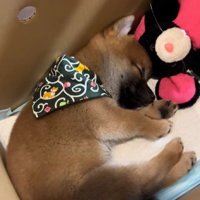 完全にリラックス