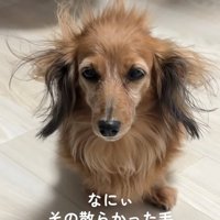 寝ぐせがひどいティナちゃん2