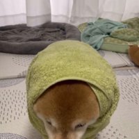 可愛すぎる姿にキュン♡