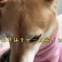 チャームポイントは活かしましょう♪