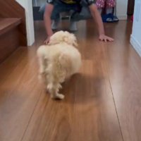 小学校から帰ってきたら…