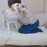 きなこちゃんとママさんの再会3