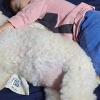 犬を抱きしめながら眠る赤ちゃん