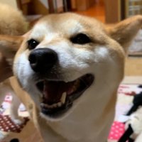 撫でたら笑顔に♪