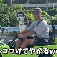 おこめちゃんはドライブスルーへ