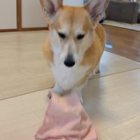 どうぞ