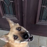 外で遊んでいた幸太郎くんと凛ちゃん⑩