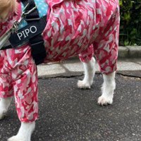 強風が吹いたら…