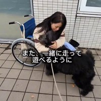 車椅子の前の犬