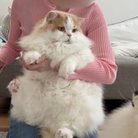 じーっと見ていたかと思ったら…