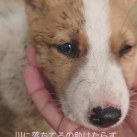 幸せを掴めてよかった！！