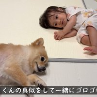 一緒にゴロゴロ♪
