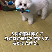 リリーちゃんの変化3