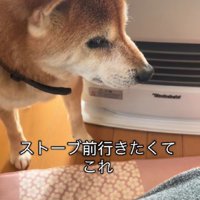 ストーブ前が取られていると…