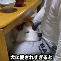 深すぎる愛…