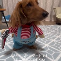 コスプレしたエールくん