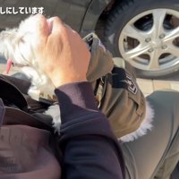 とっても幸せそう♪