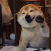 「いらっしゃい！」