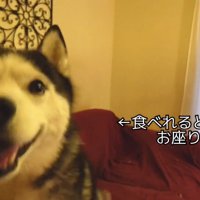 オヤツだと勘違いしてニコニコ♪