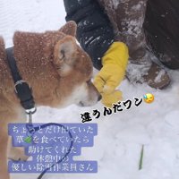 草を探していたら…