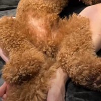 体重20キロ超えのちくわちゃん