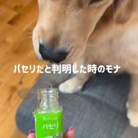 「これ、どうしたの？」