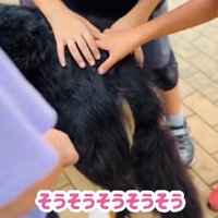 「どこ触ったら喜ぶ？」