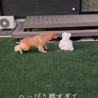 困惑が止まらない…
