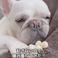 どっさり。