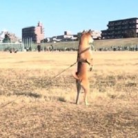 「やっぱり！おやつ持ってる！」