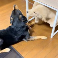 3年前のワンプロ