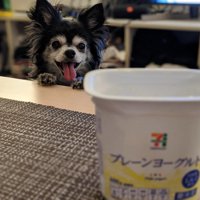 食べる