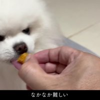 ガジガジしてたら…