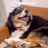 尊い記録に涙…