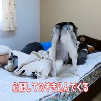 「大丈夫？」