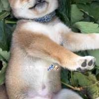 ぐっすり眠る姿が尊い