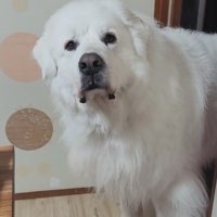 現実を受け入れられない