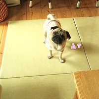 「行こうか」と声を掛けると…