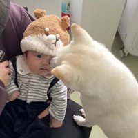 おまめちゃんと赤ちゃんの別れ5