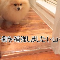 対策したら…？