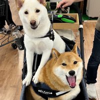 うに太くん＆ぽん太くん